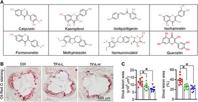 Astragalus Flavone Ameliorates Atherosclerosis and Hepatic Steatosis Via Inhibiting Lipid-Disorder and Inflammation in apoE−/− Mice